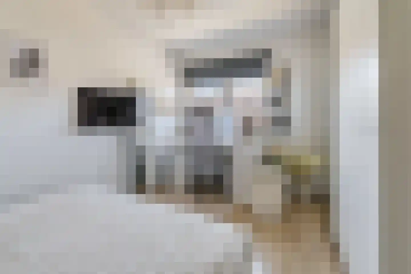 Noortberghmoeren 46 Breda thumbnail 26