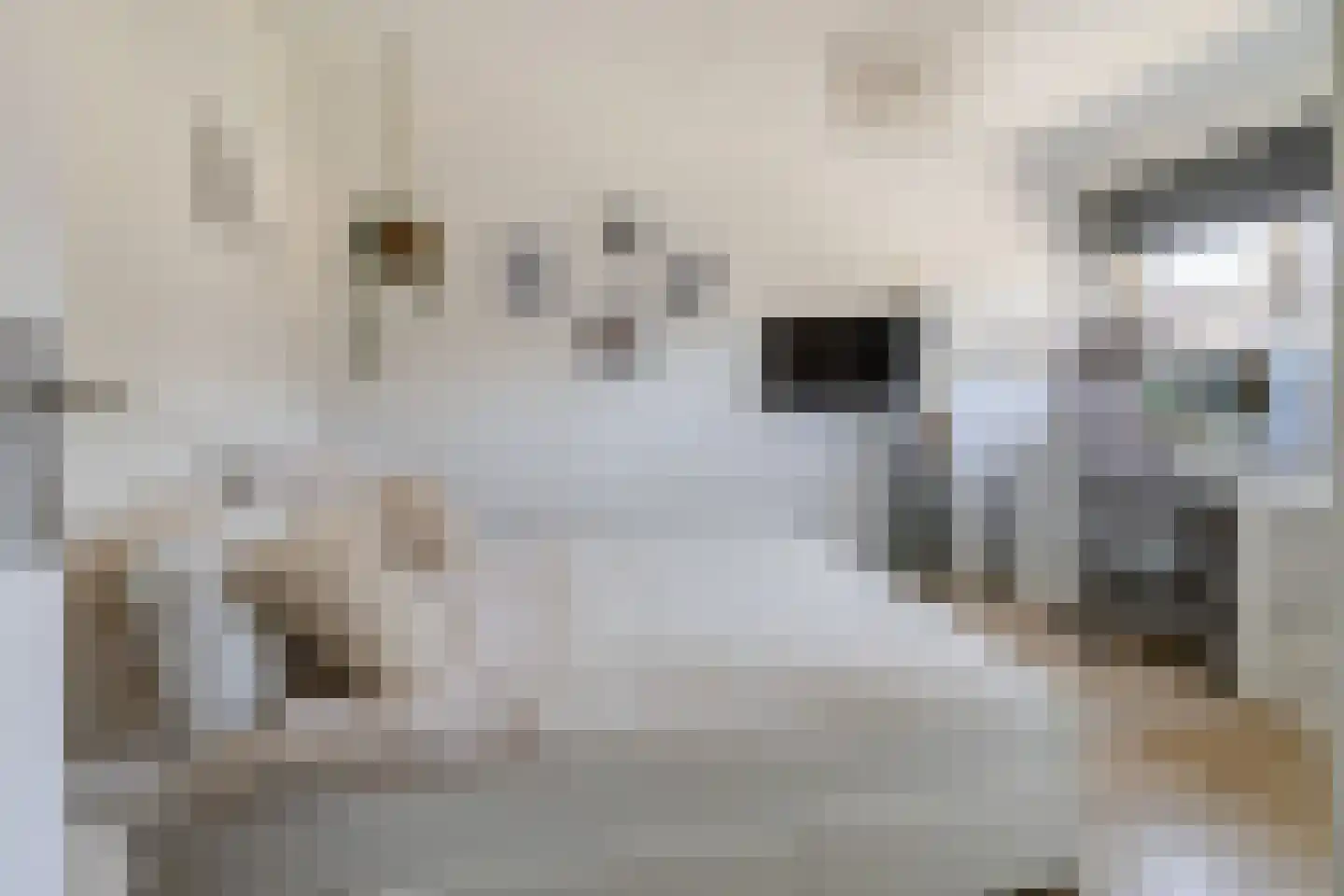 Noortberghmoeren 46 Breda thumbnail 27