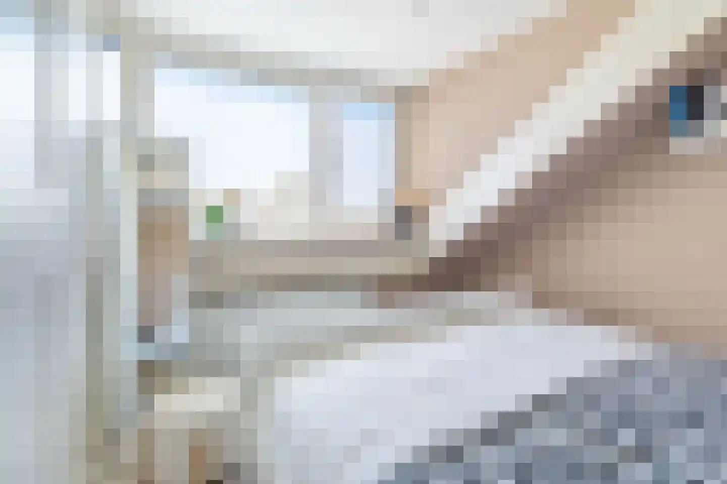 Noortberghmoeren 46 Breda thumbnail 28