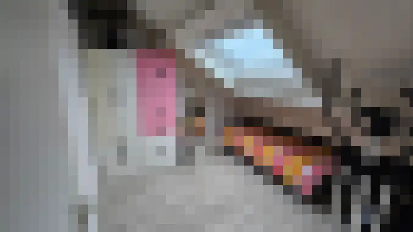 Noortberghmoeren 46 Breda thumbnail 29