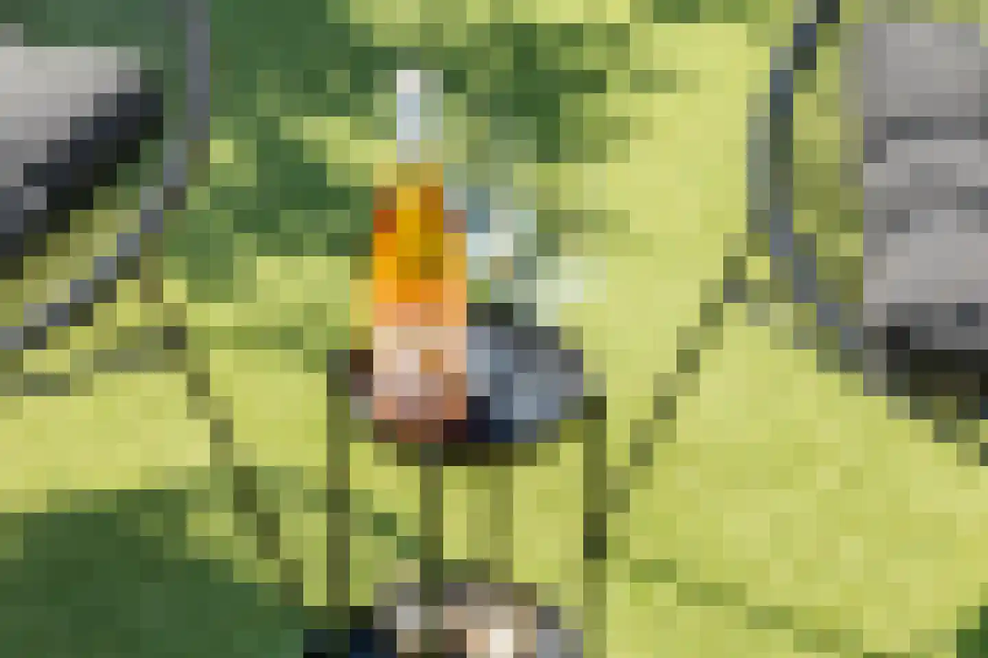 Noortberghmoeren 46 Breda thumbnail 36