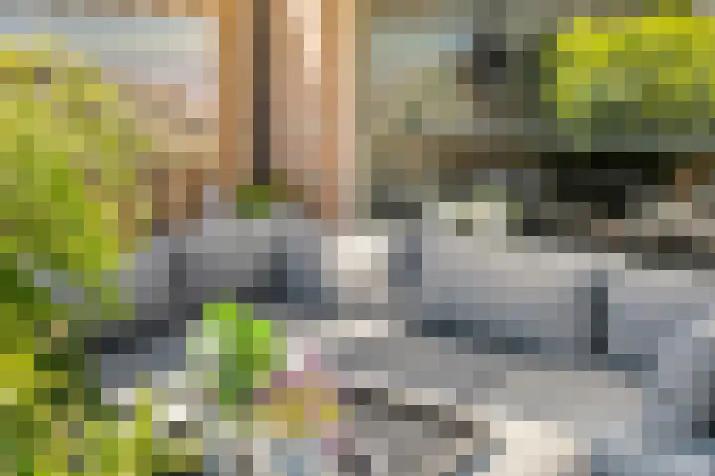 Noortberghmoeren 46 Breda thumbnail 37