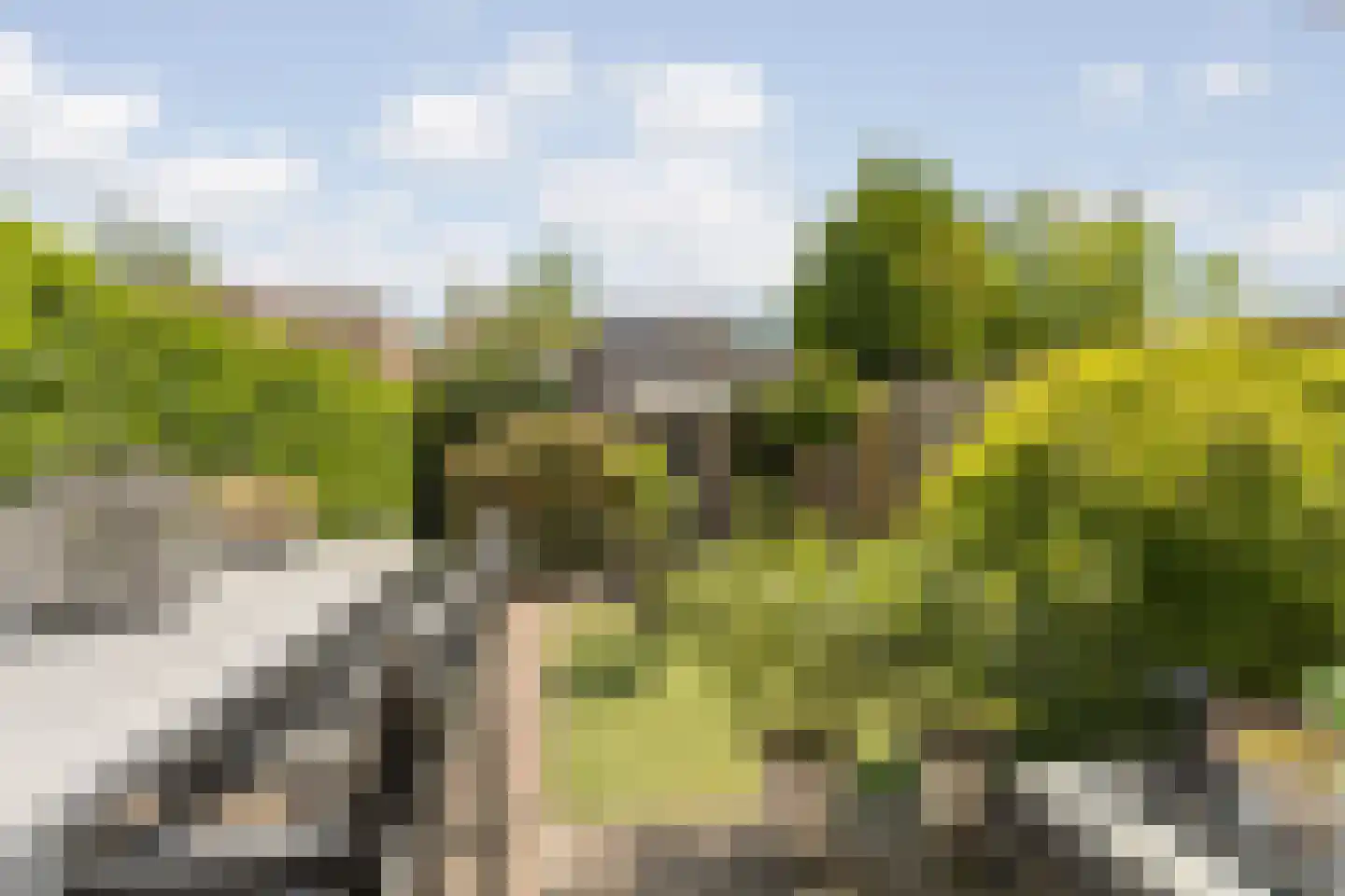 Noortberghmoeren 46 Breda thumbnail 4