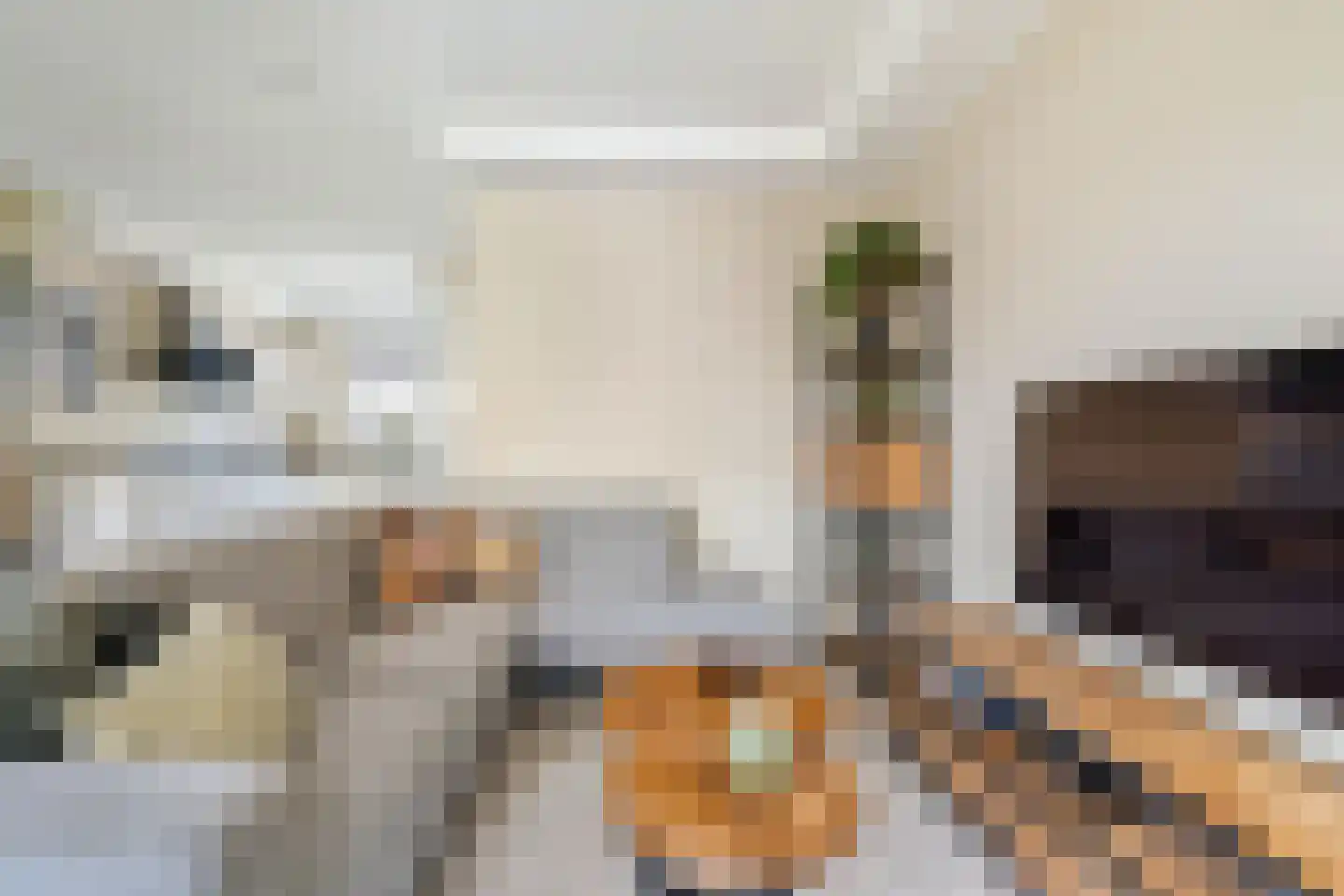 Noortberghmoeren 46 Breda thumbnail 8