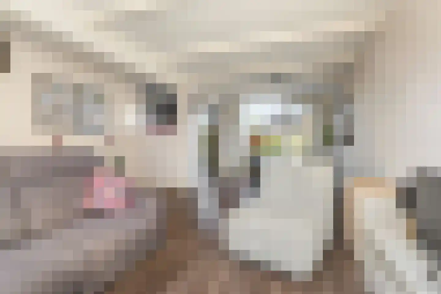 Noortberghmoeren 77 Breda thumbnail 11