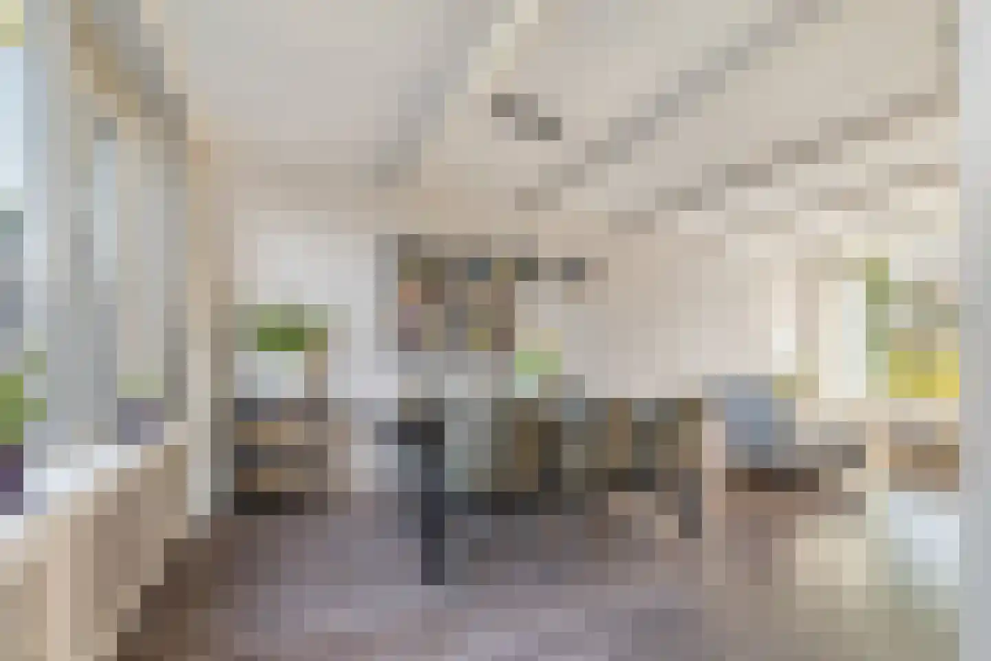 Noortberghmoeren 77 Breda thumbnail 13