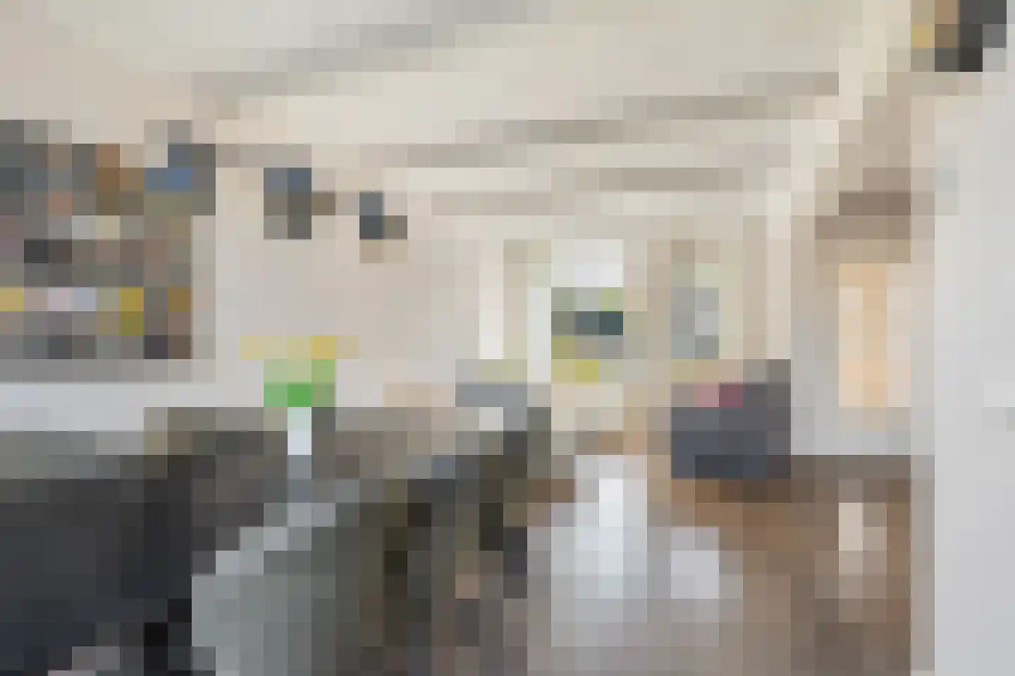 Noortberghmoeren 77 Breda thumbnail 14
