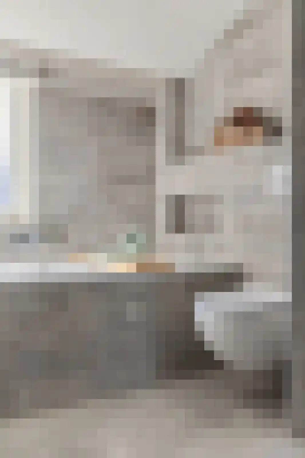 Noortberghmoeren 77 Breda thumbnail 23