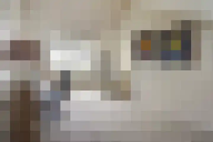 Noortdijk 9 Den Haag thumbnail 33