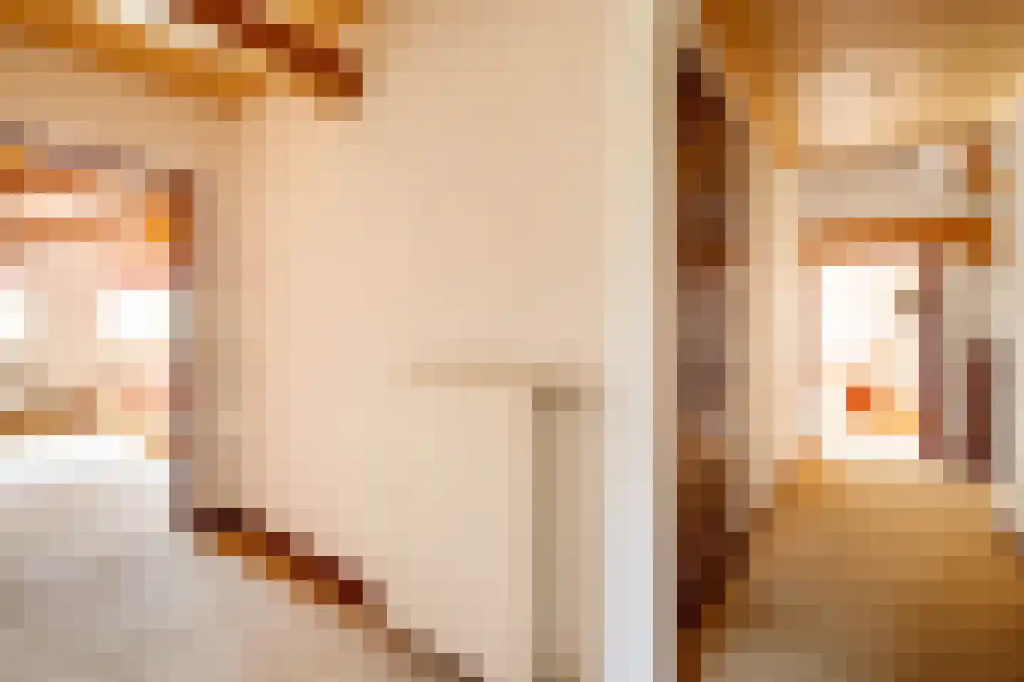 Noortheylaan 1 Leidschendam thumbnail 27