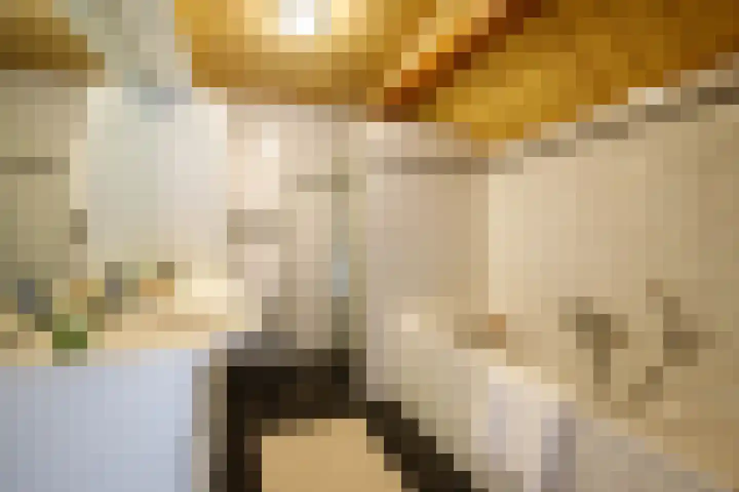 Noortheylaan 1 Leidschendam thumbnail 32