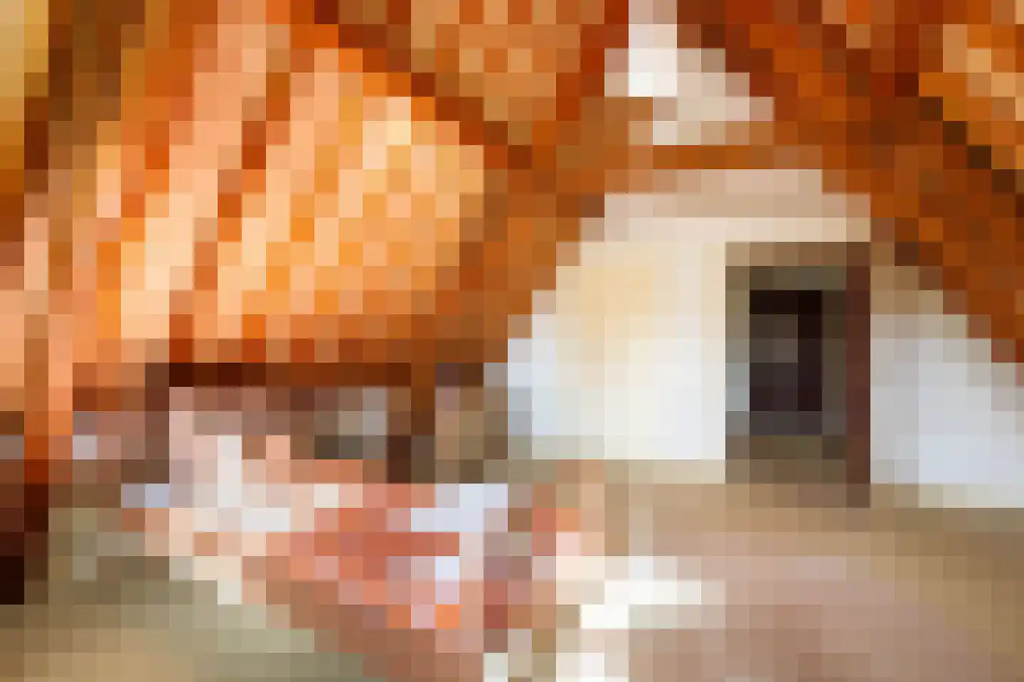 Noortheylaan 1 Leidschendam thumbnail 35