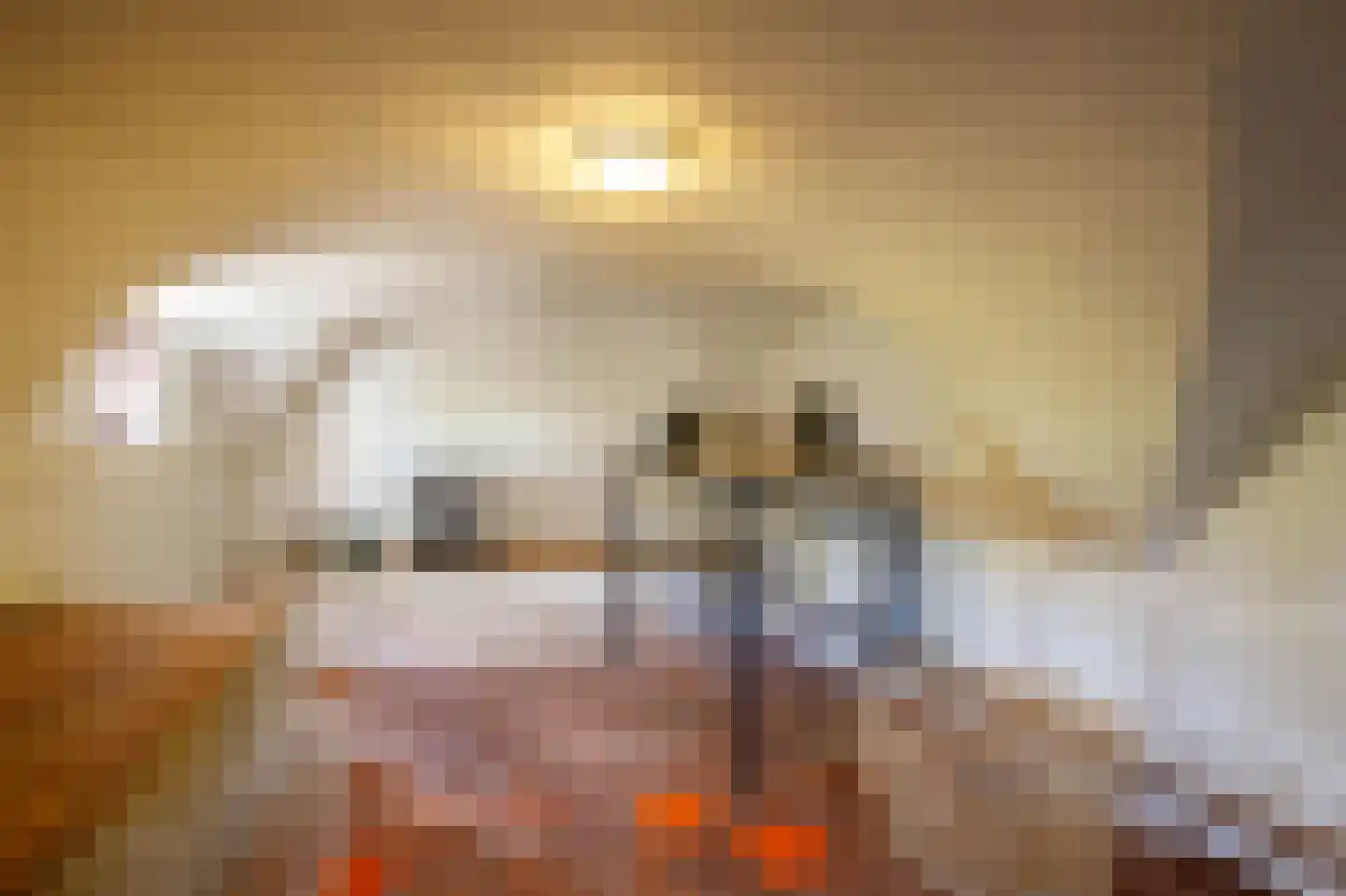 Noortheylaan 1 Leidschendam thumbnail 43