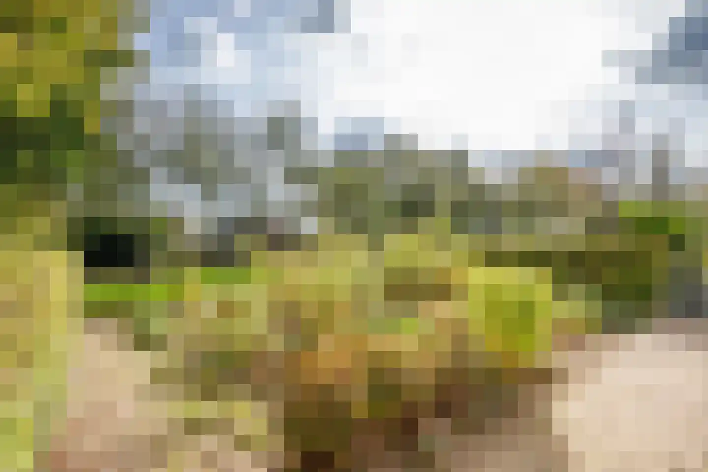 Noortheylaan 1 Leidschendam thumbnail 46