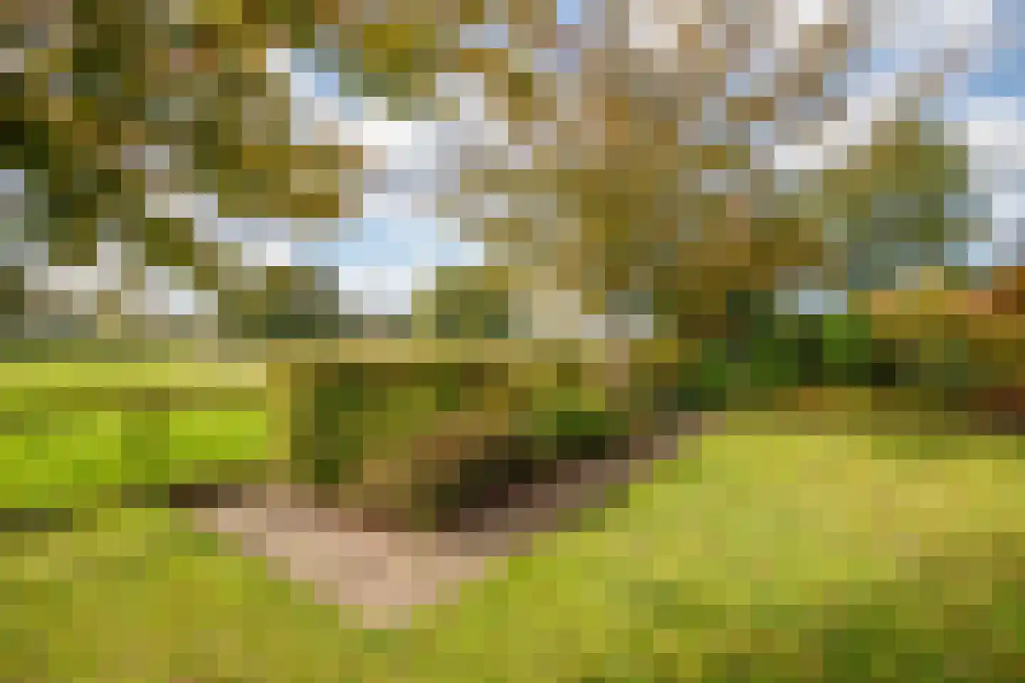Noortheylaan 1 Leidschendam thumbnail 50