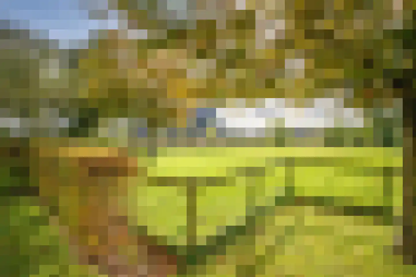 Noortheylaan 1 Leidschendam thumbnail 51
