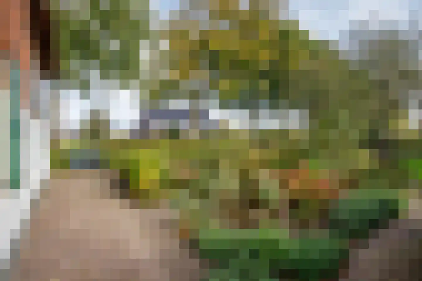 Noortheylaan 1 Leidschendam thumbnail 55