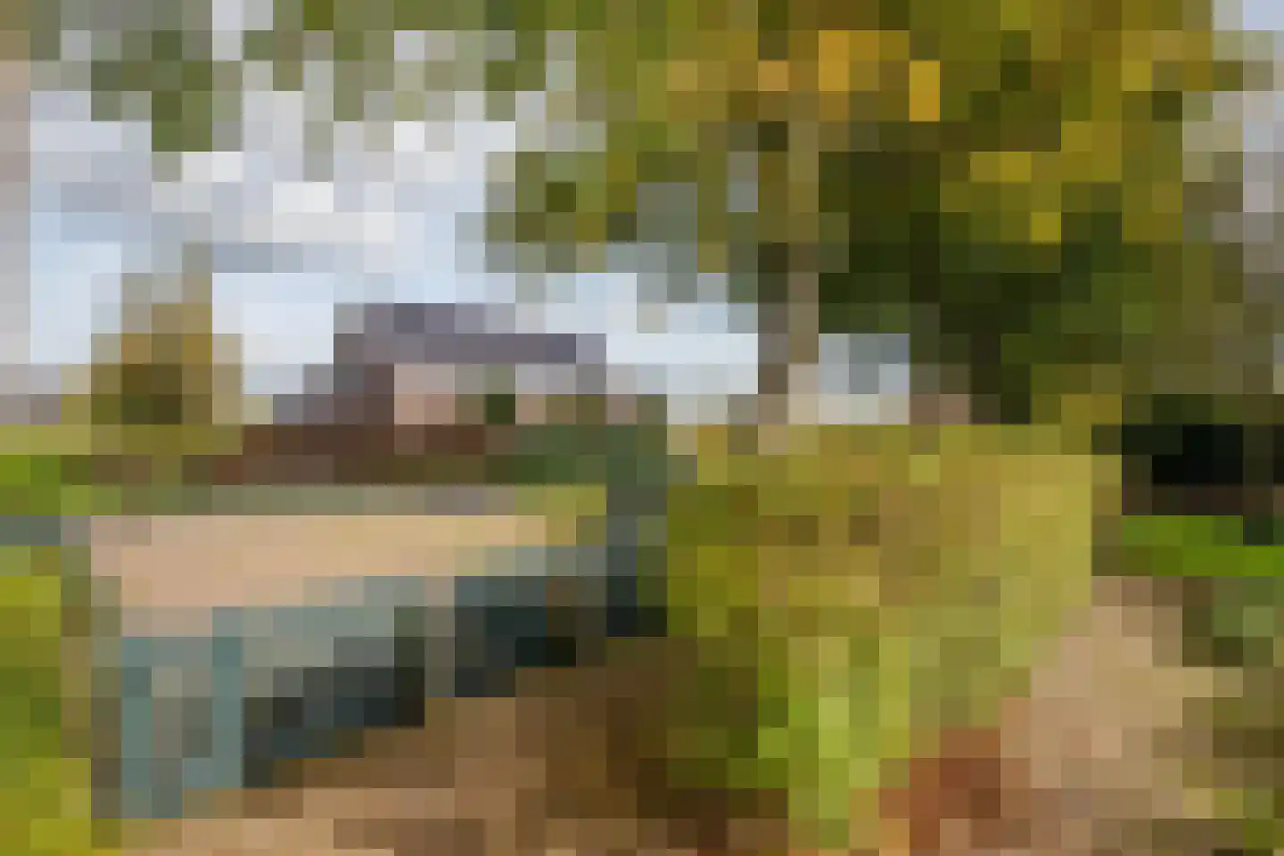 Noortheylaan 1 Leidschendam thumbnail 62