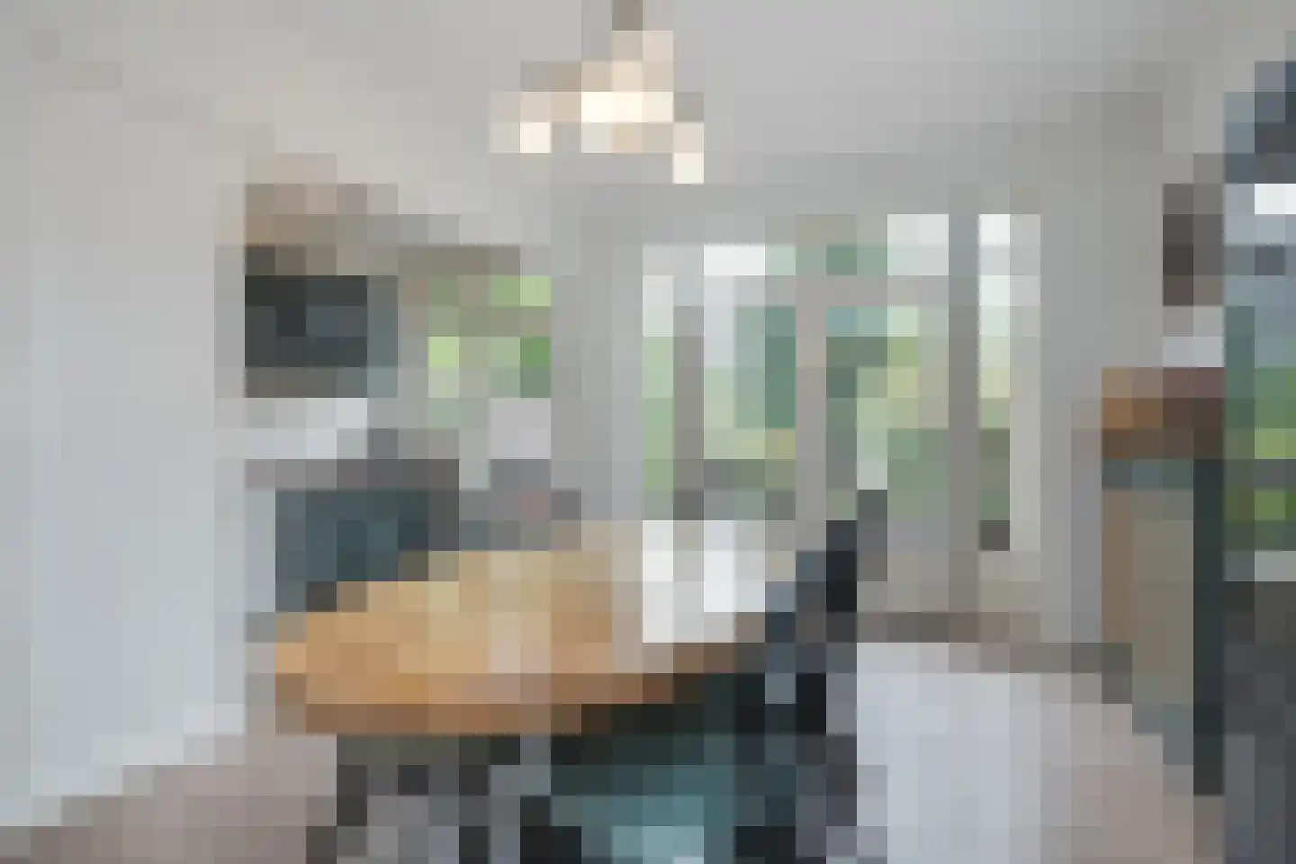 Noortheystraat 14 Voorschoten thumbnail 14