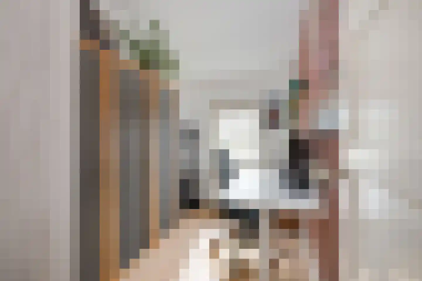 Noortheystraat 14 Voorschoten thumbnail 19
