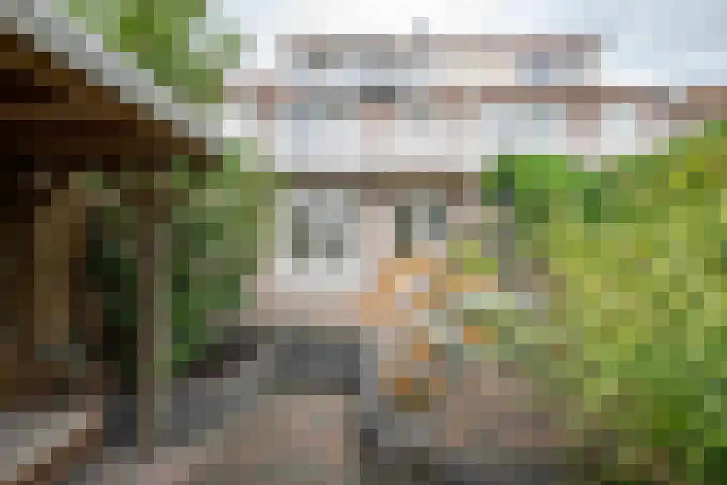 Noortheystraat 14 Voorschoten foto 2