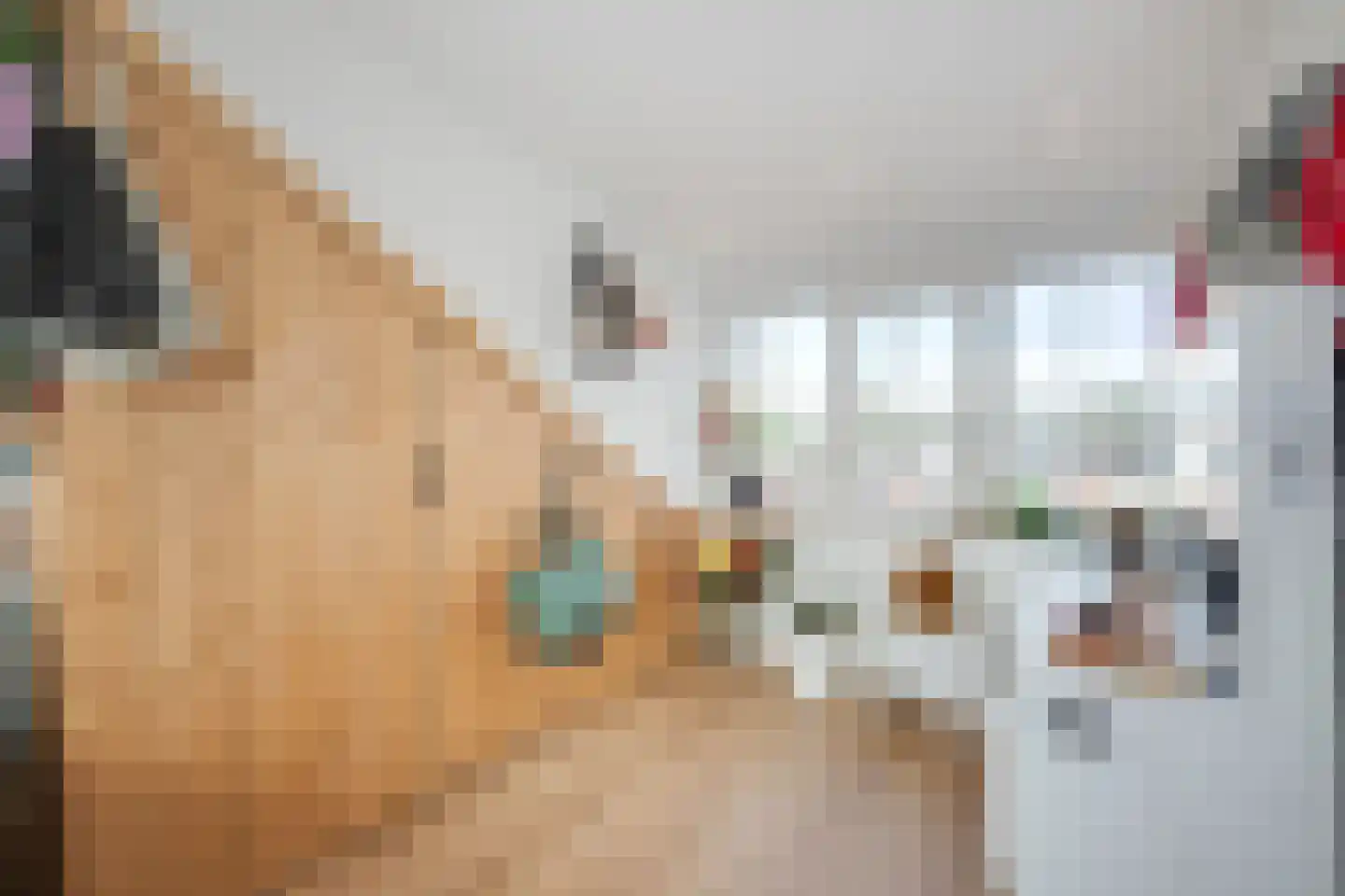 Noortheystraat 14 Voorschoten thumbnail 27