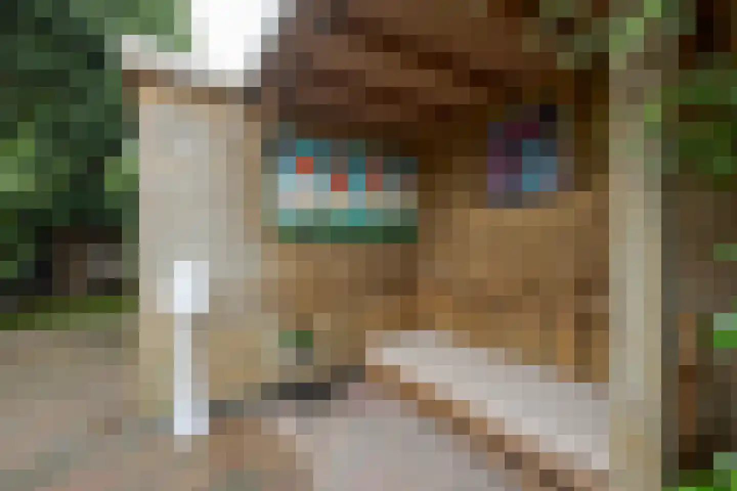 Noortheystraat 14 Voorschoten thumbnail 34