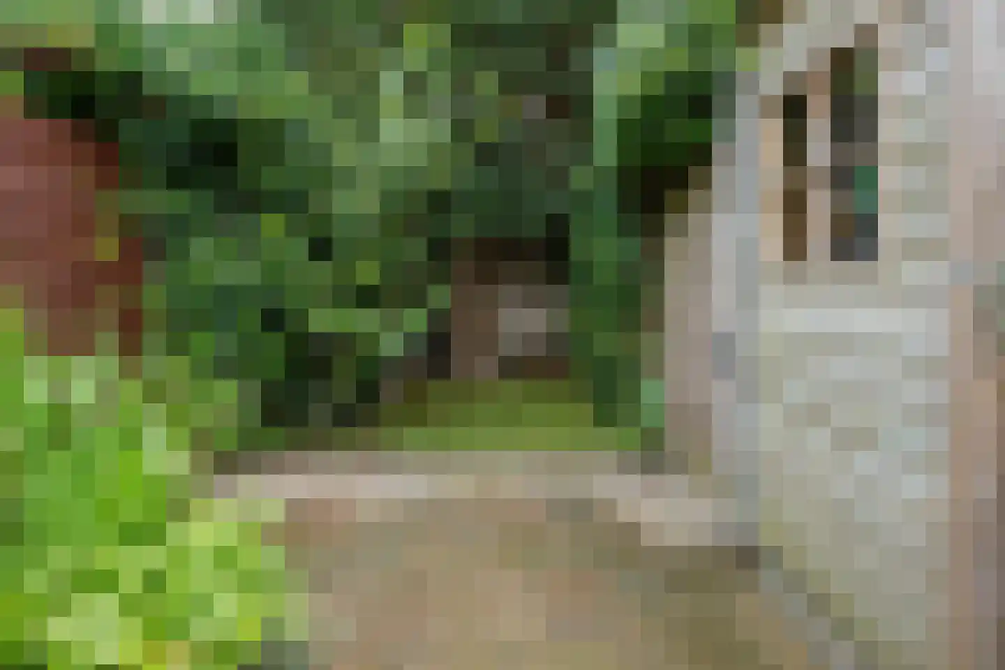 Noortheystraat 14 Voorschoten thumbnail 36