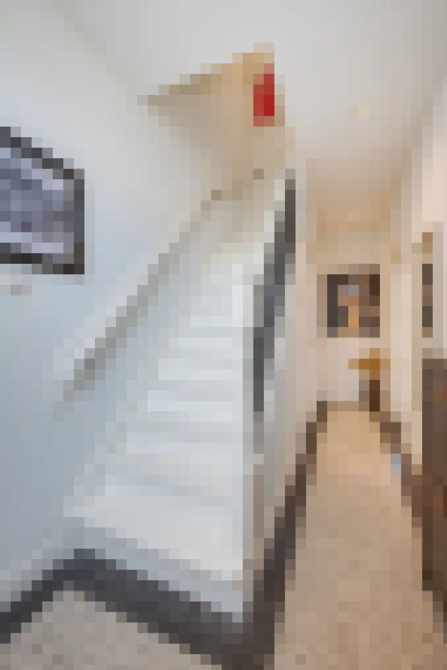 Noortheystraat 14 Voorschoten thumbnail 9