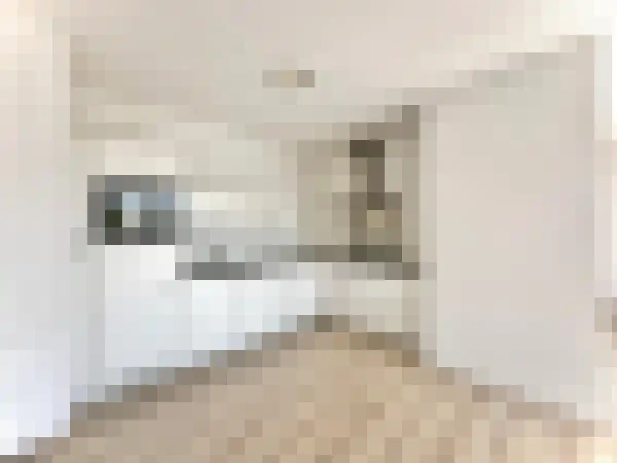 Noorwegenkade 110 Almere thumbnail 4