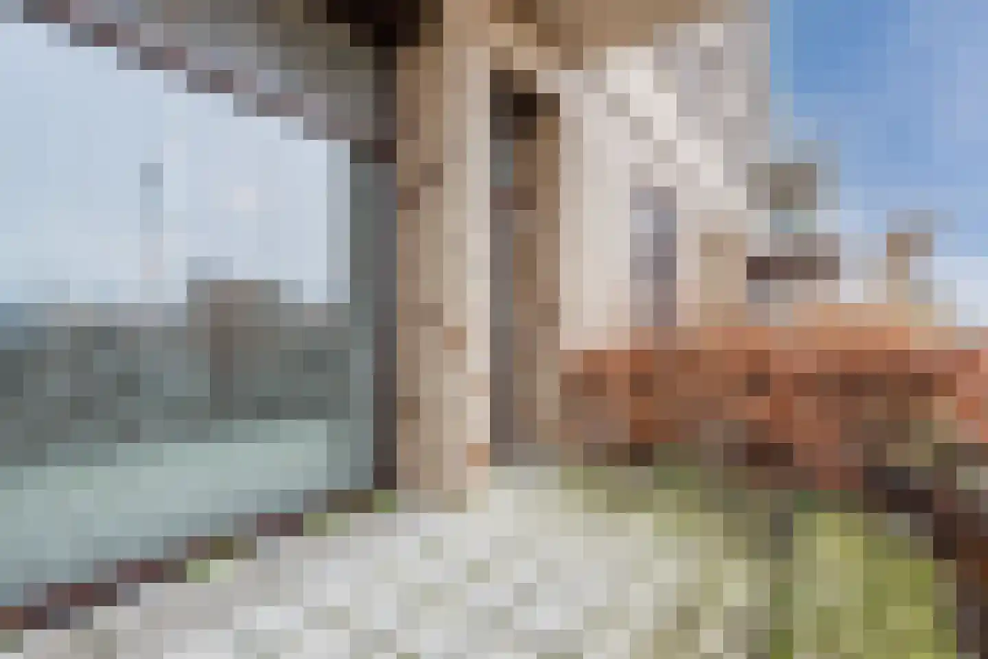 Noorwegenkade 340 Almere thumbnail 40