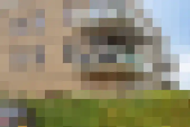 Noorwegenkade 344 Almere thumbnail 5
