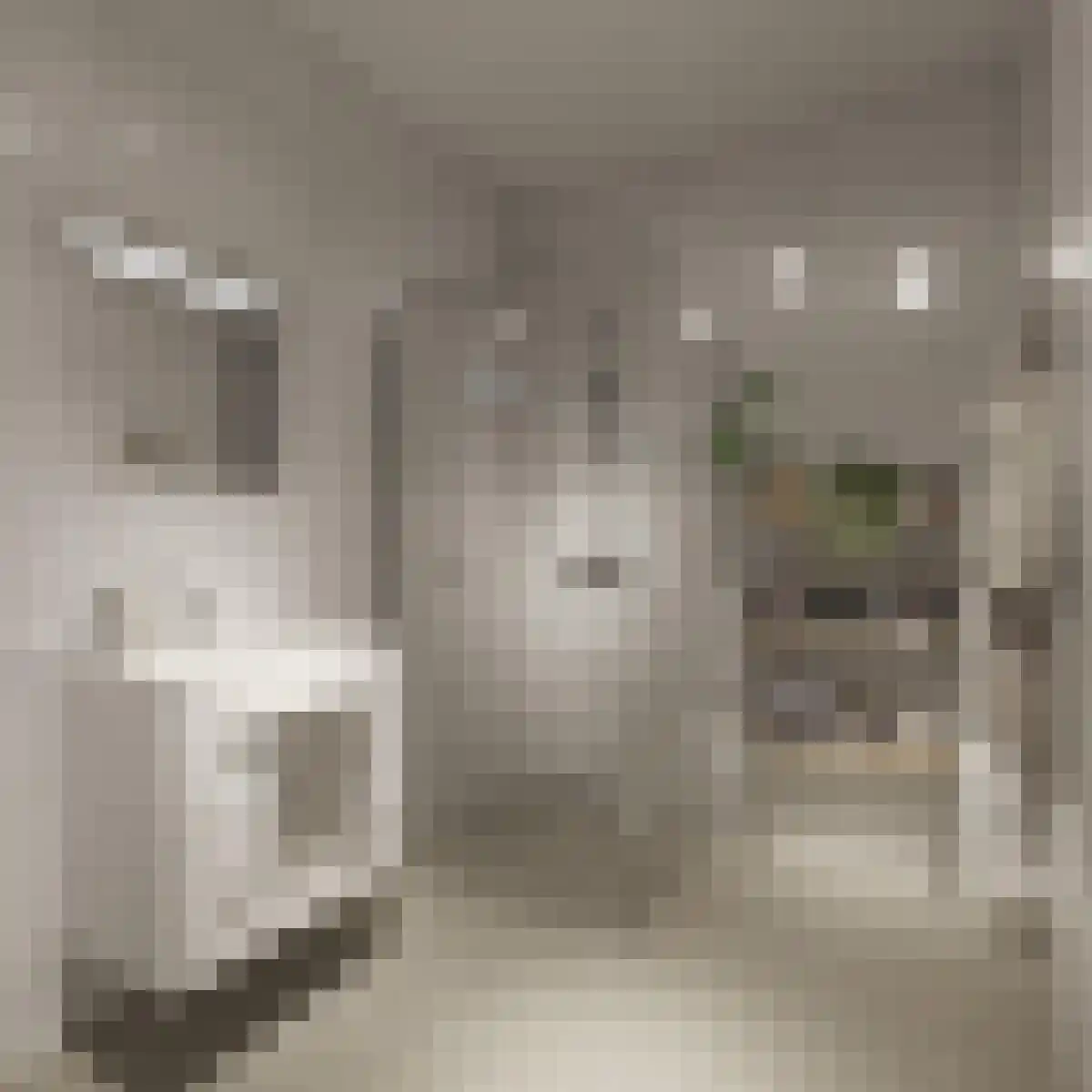 Noorwegenkade 510 Almere thumbnail 4