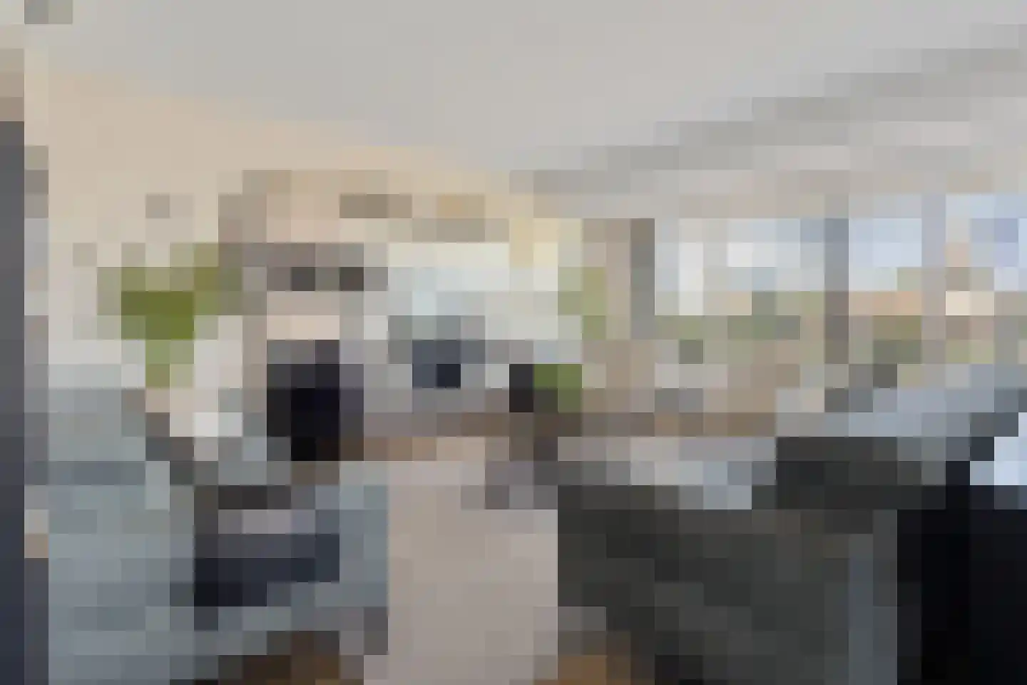 Noorwegenkade 98 Almere thumbnail 15