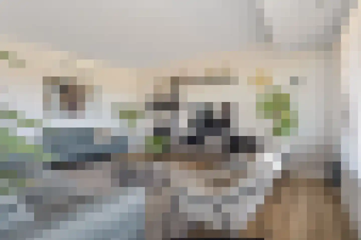 Noorwegenkade 98 Almere thumbnail 18