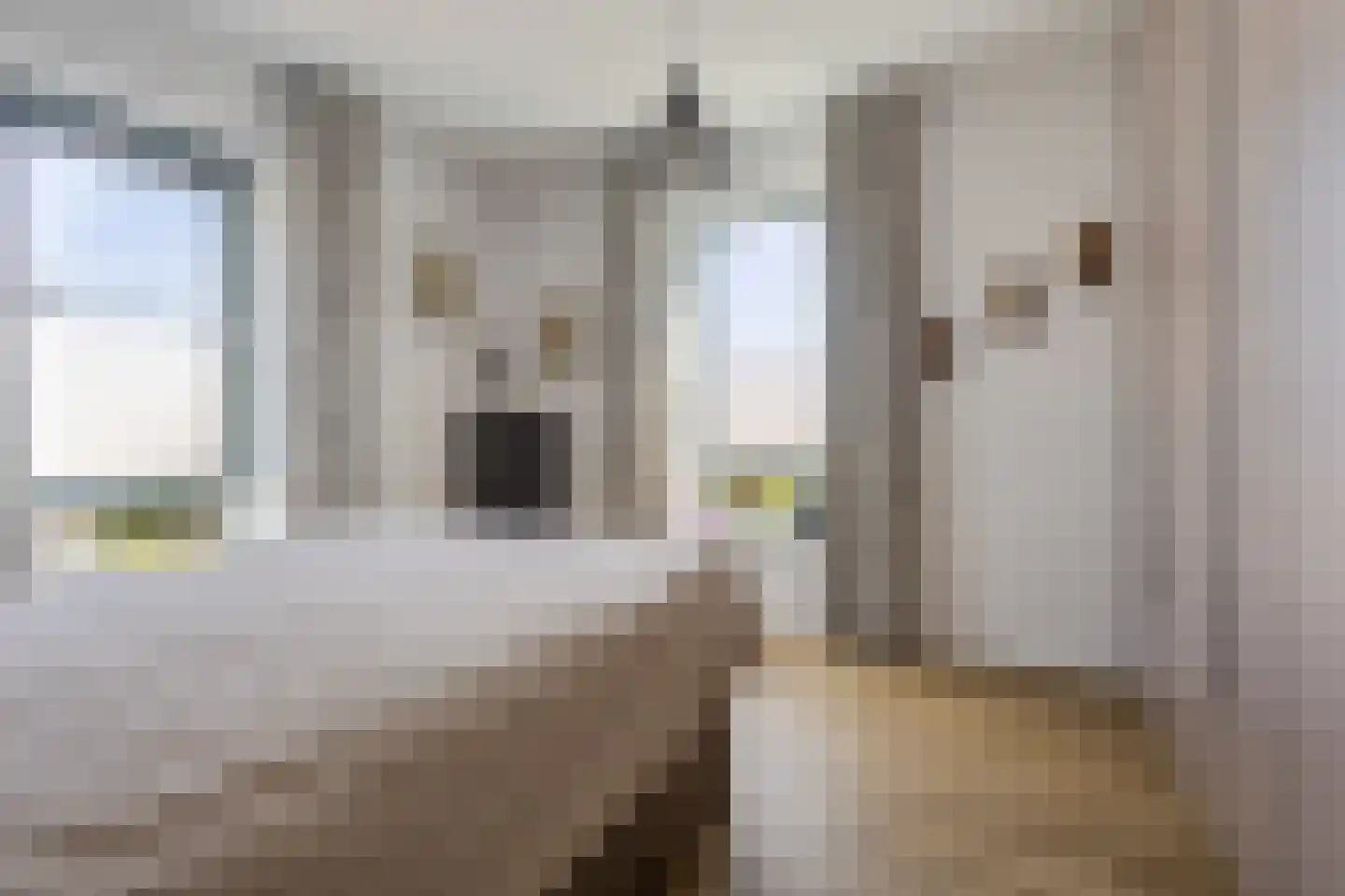 Noorwegenkade 98 Almere thumbnail 31