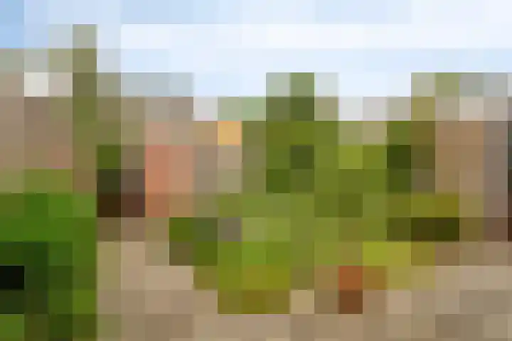 Noorwegenlaan 11 IJsselstein thumbnail 29
