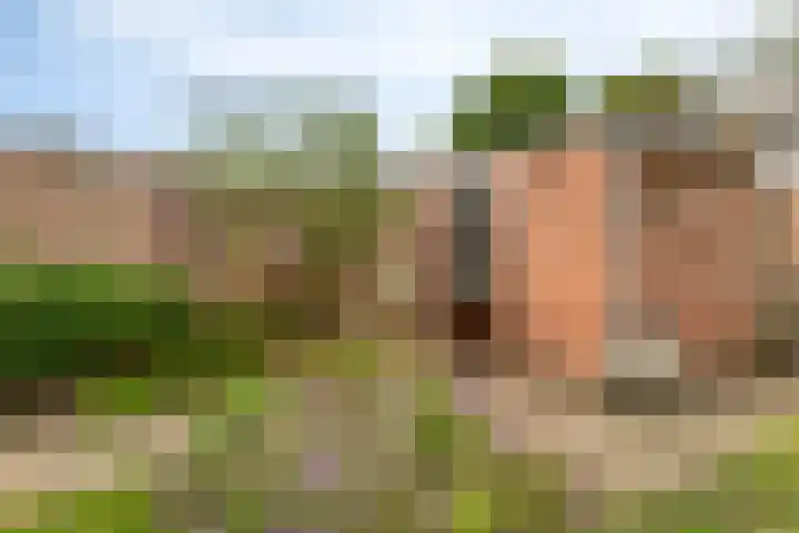 Noorwegenlaan 11 IJsselstein thumbnail 31