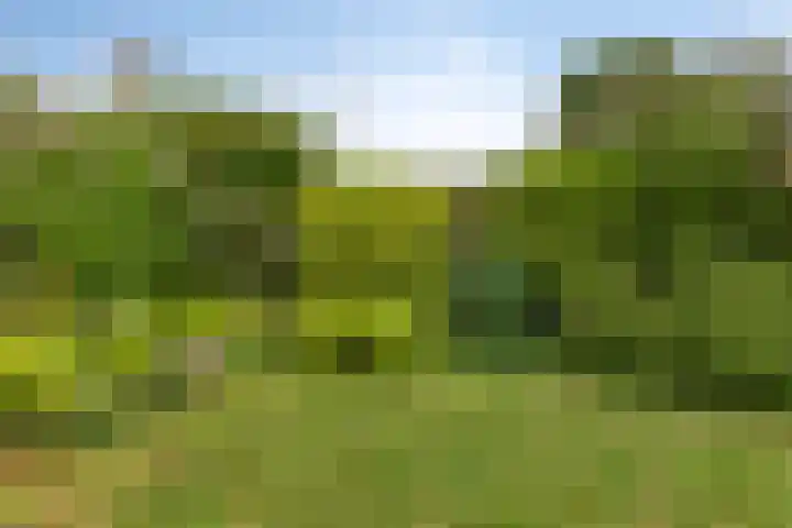 Noorwegenlaan 11 IJsselstein thumbnail 32