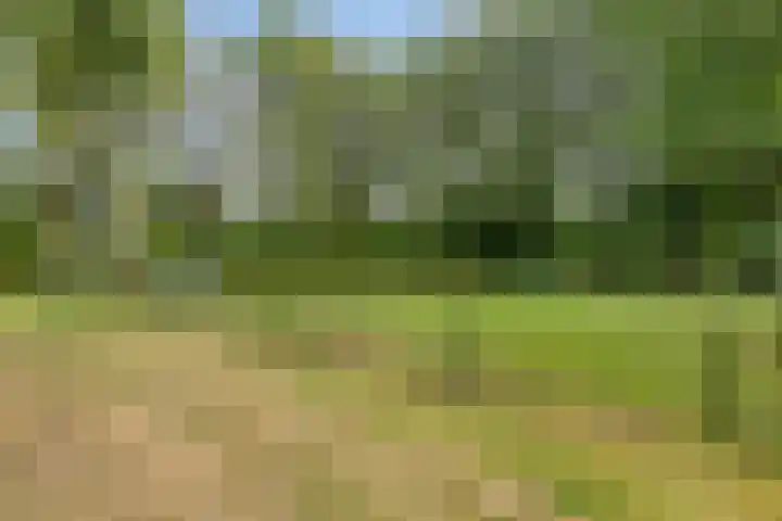 Noorwegenlaan 11 IJsselstein thumbnail 36