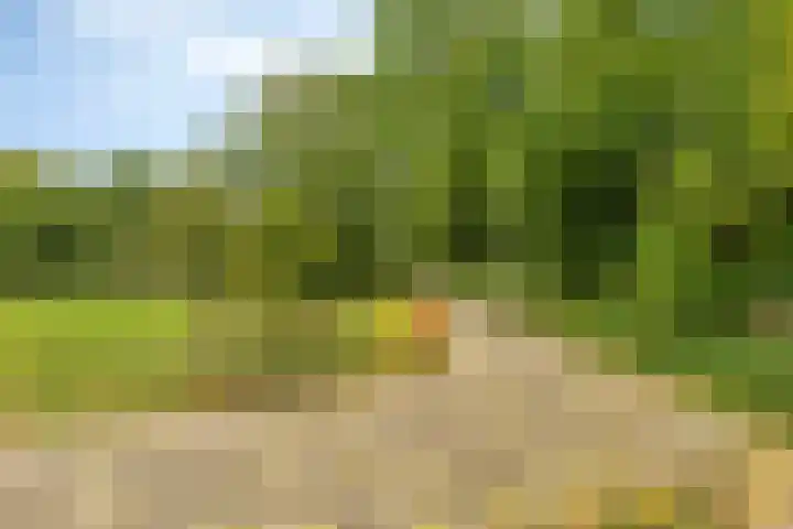 Noorwegenlaan 11 IJsselstein thumbnail 37