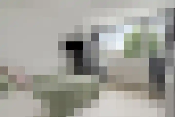 Noorwegenlaan 27 IJsselstein thumbnail 17