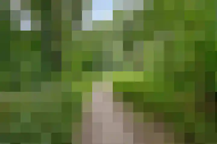 Noorwegenlaan 27 IJsselstein thumbnail 32