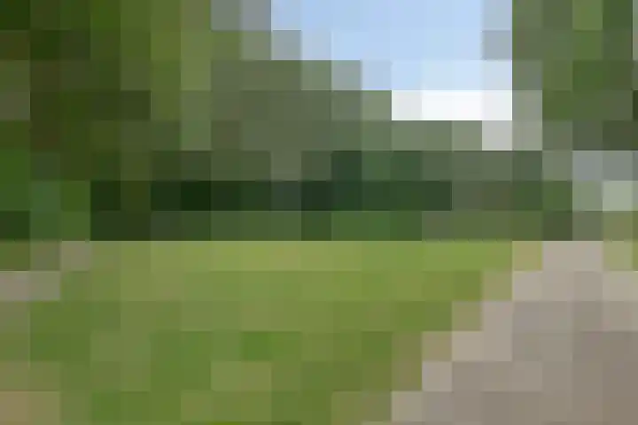 Noorwegenlaan 27 IJsselstein thumbnail 33