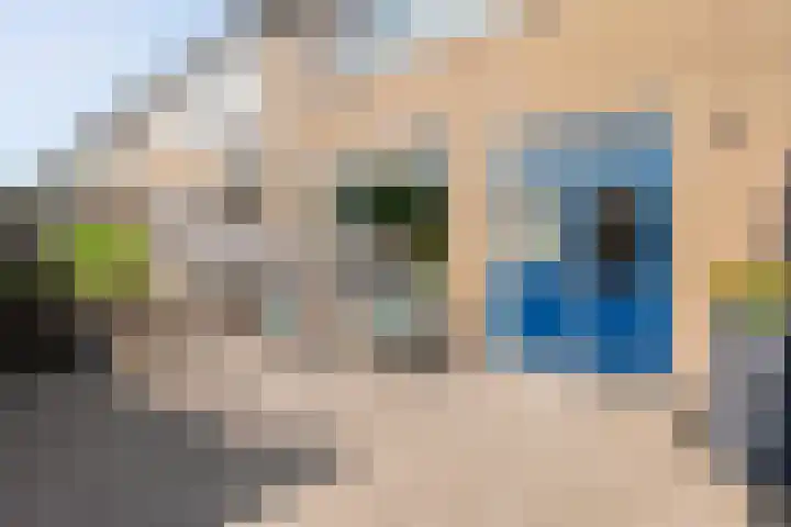 Noorwegenstraat 16 Coevorden thumbnail 34