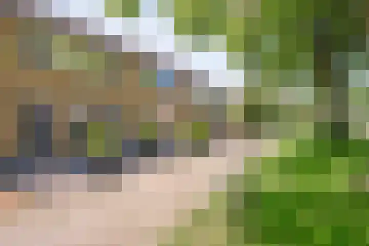 Noorwegenstraat 16 Coevorden thumbnail 4