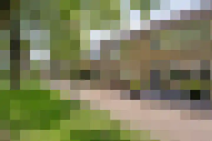 Noorwegenstraat 16 Coevorden thumbnail 5