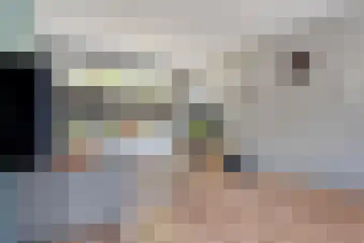 Noorwegenstraat 16 Coevorden thumbnail 9