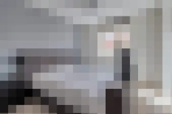 Noorwegenstraat 6 De Lier thumbnail 15