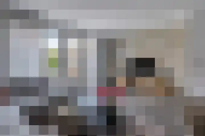 Noorwegenstraat 6 De Lier thumbnail 4